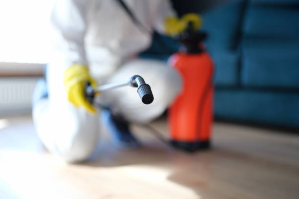 Best Commercial Mold Inspection  in Darby, PA